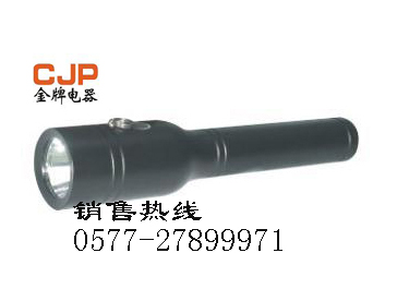 供应TZ1010固态防爆调光电筒 TZ1000 TZ1010